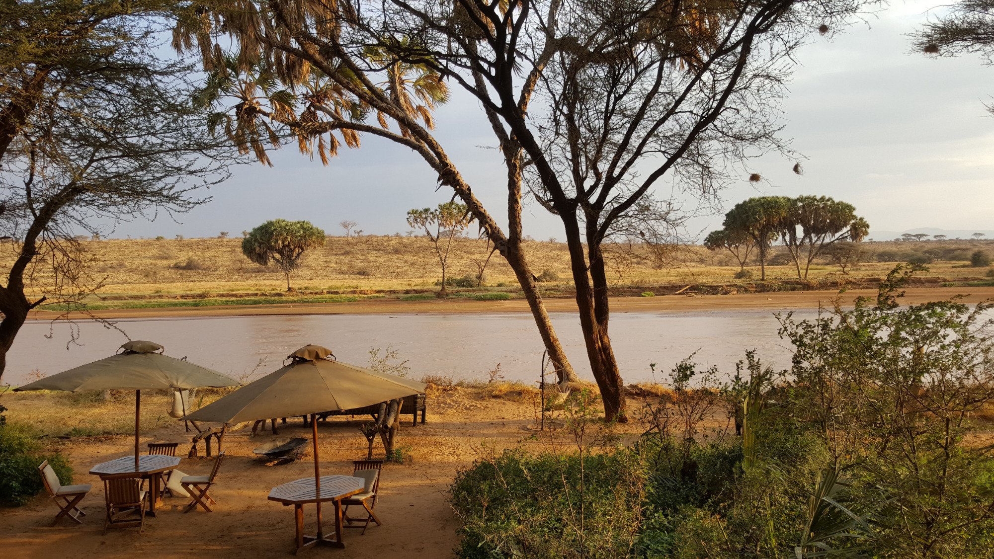 ELEPHANT BEDROOM CAMP Updated 2024 Reviews Photos   View From Dining Area 