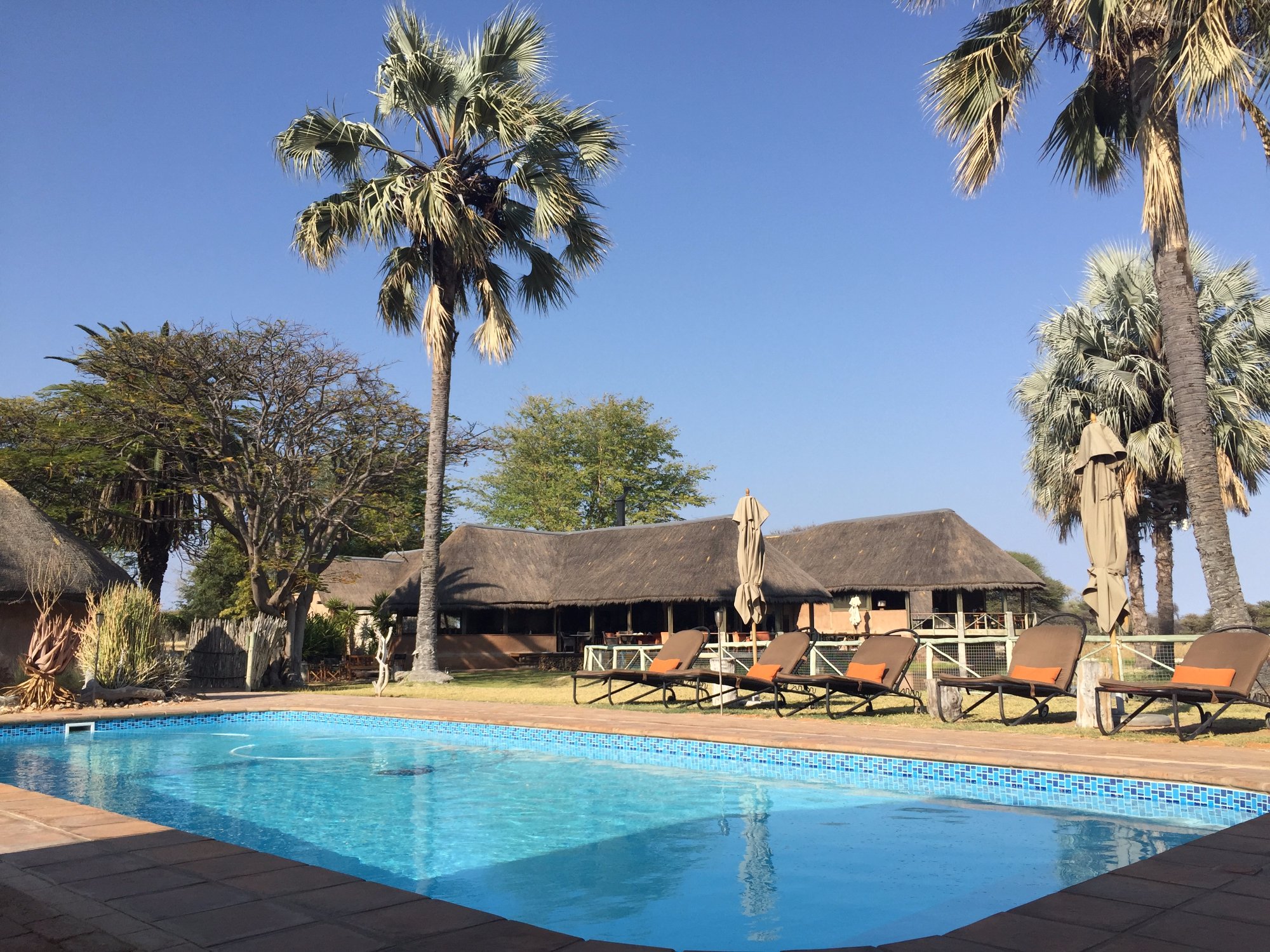 ONGUMA BUSH CAMP - Updated 2020 Prices & Hotel Reviews (Etosha National ...