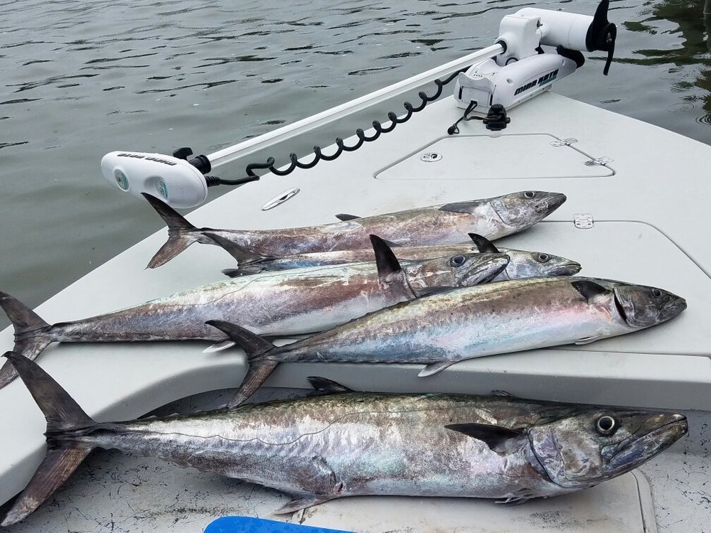 Underdog Fishing Charters (Dauphin Island) - All You Need to Know