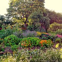 Visningsträdgård, Besuchergarten, visit garden