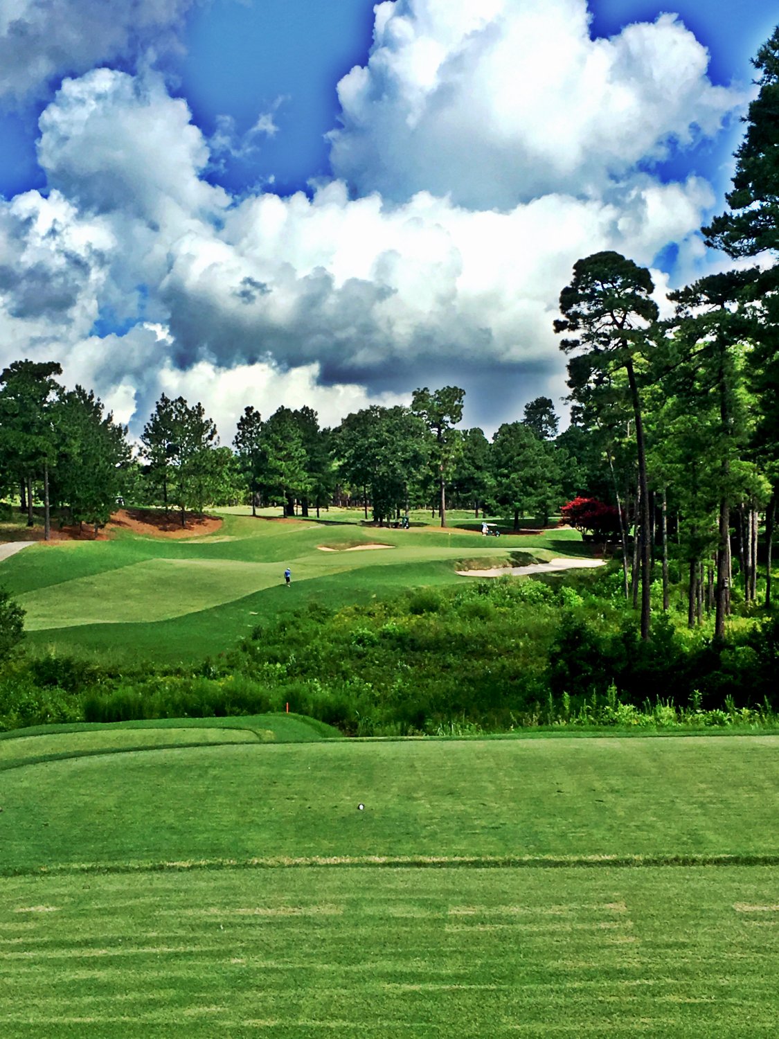 Pinehurst Course Number 8 (2025) - All You Need to Know