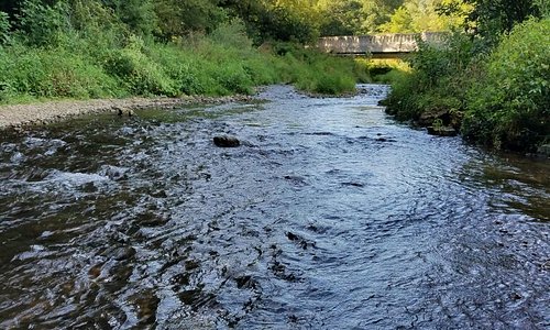 Apple river. Река Иль. Река Илим. Река Иль Ильская.