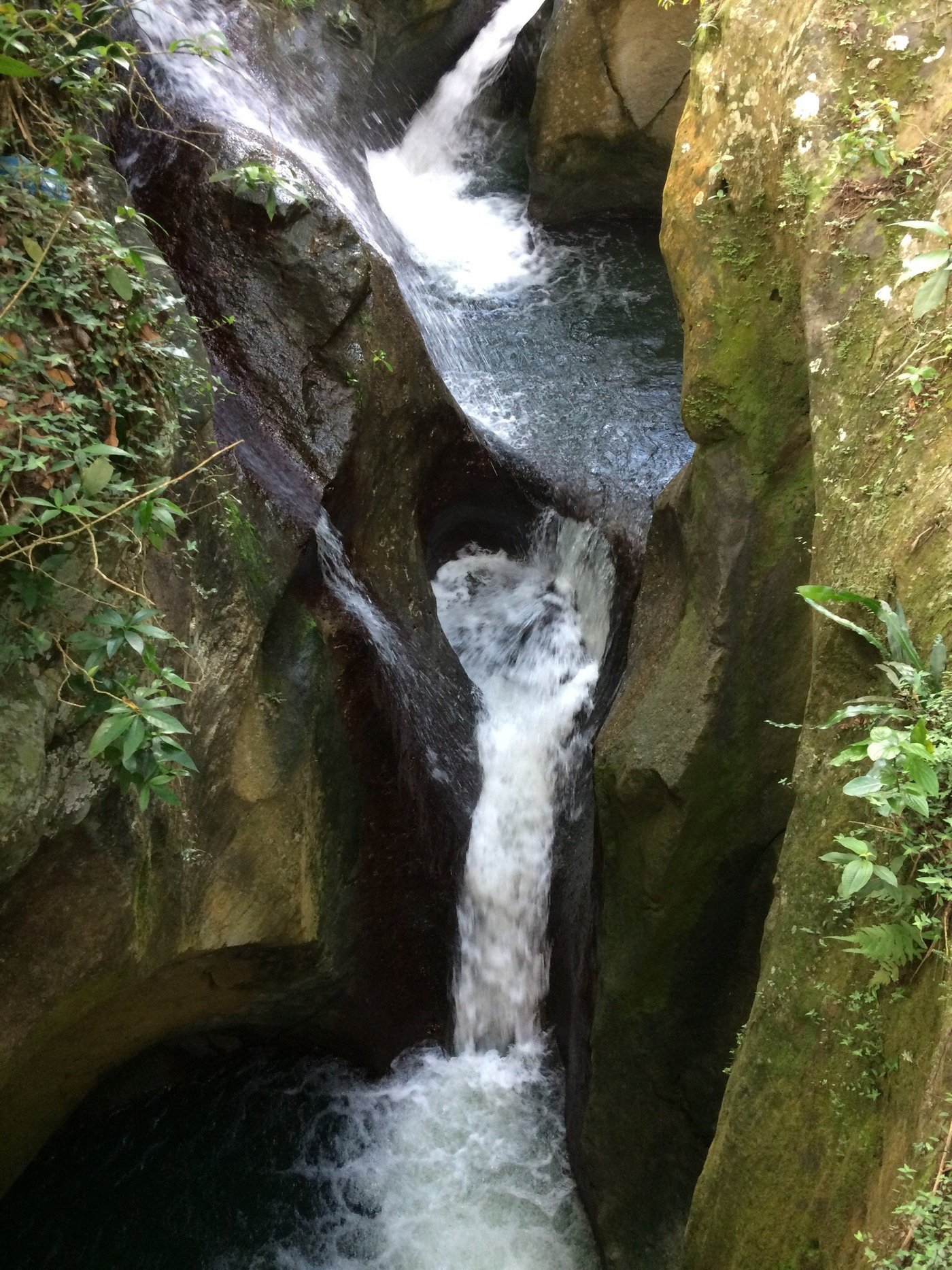 GITE ZOZIO KREYOL: Bewertungen, Fotos & Preisvergleich (Guadeloupe ...