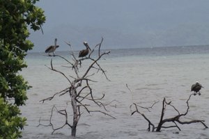 Piscina e praia