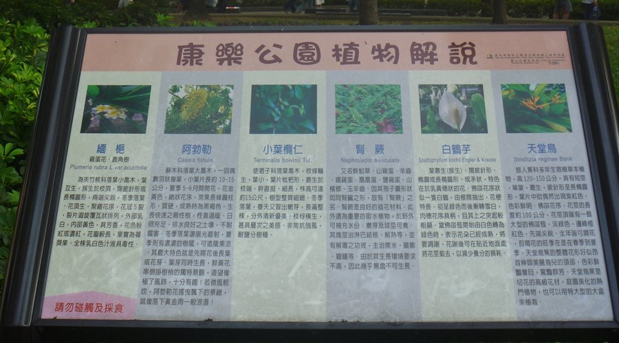 植物解説