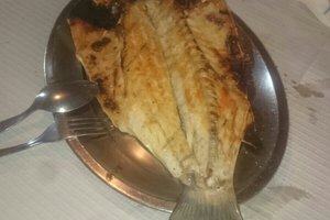 Comida