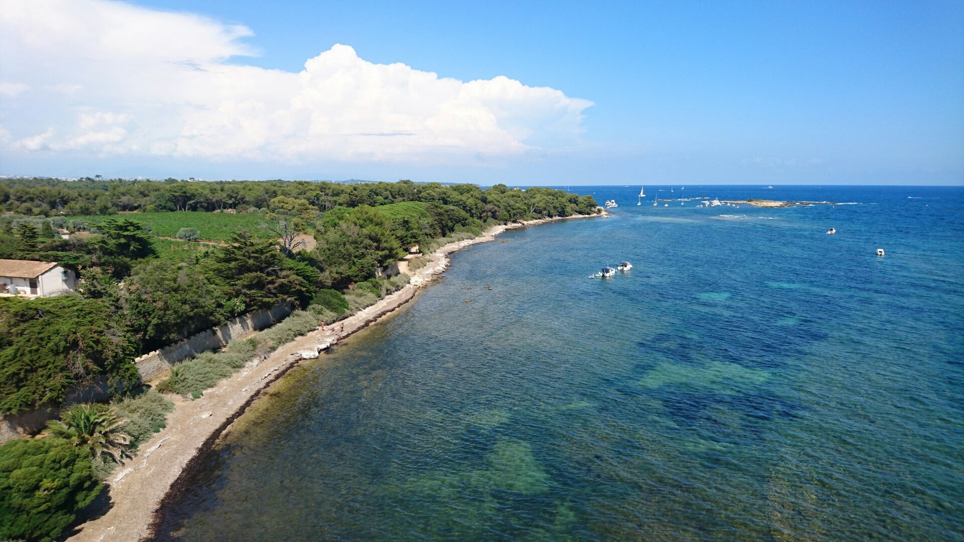 Ile Saint-Honorat - All You Need to Know BEFORE You Go (with