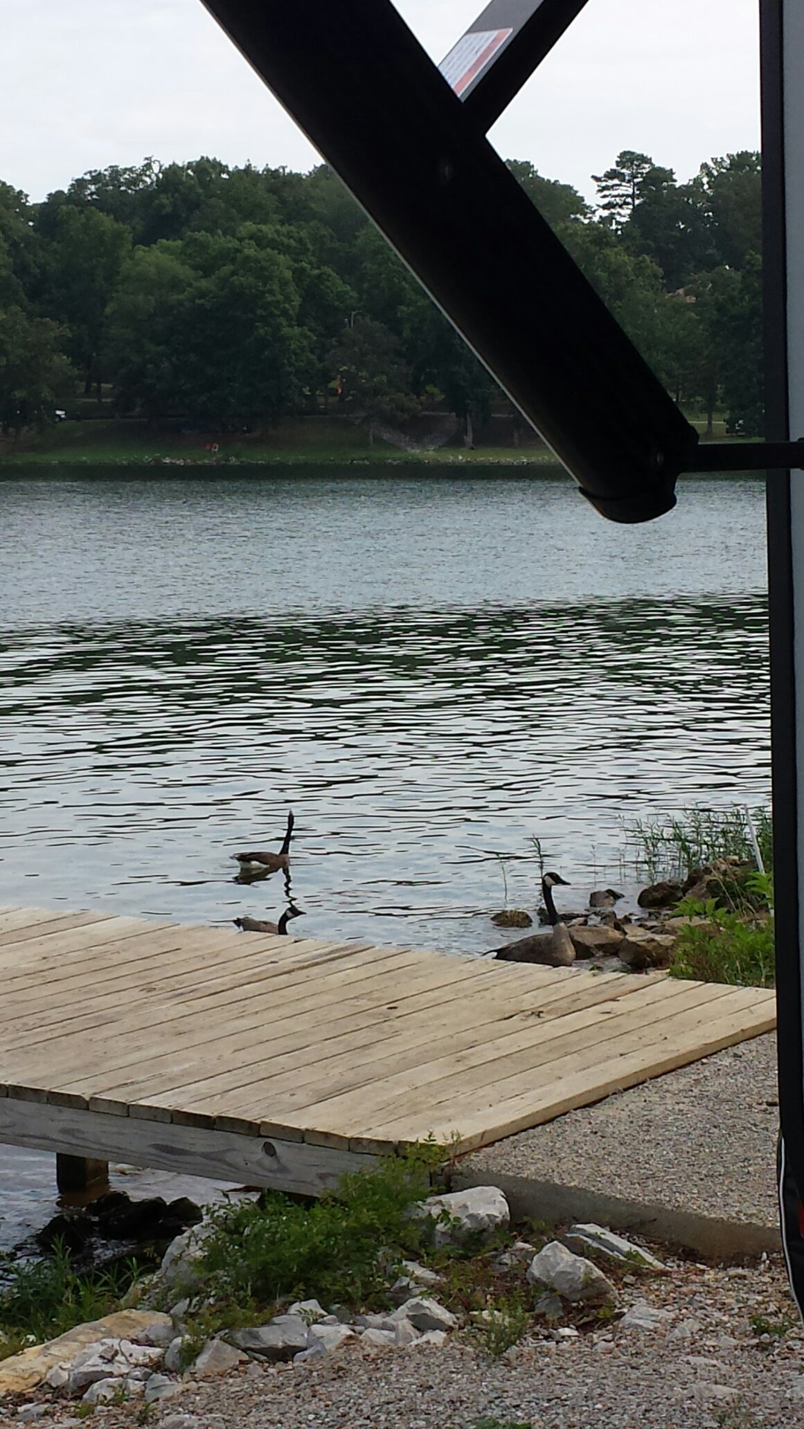 CHESTER FROST PARK (Hixson): Ce qu'il faut savoir pour votre visite