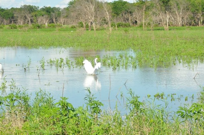 Pretty scenery and wildlife.