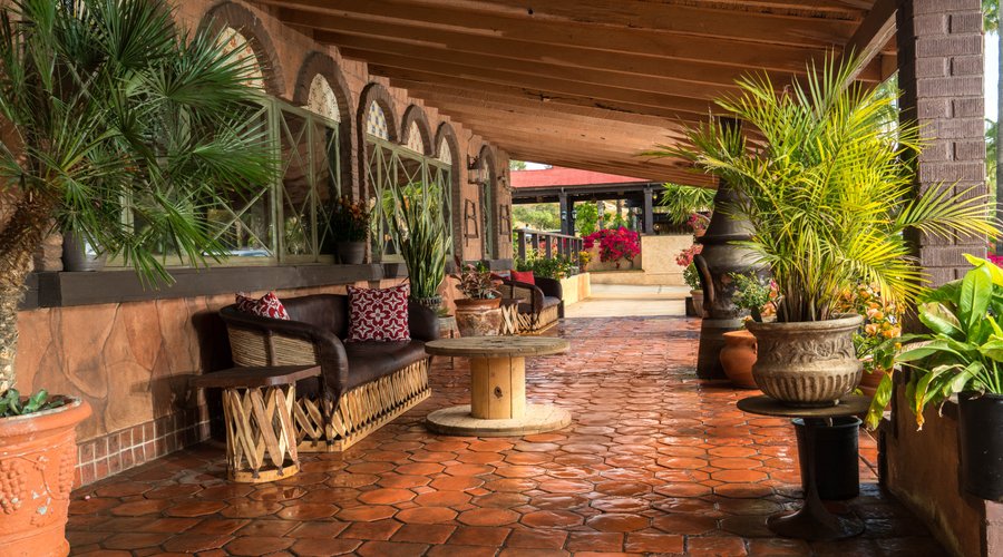 The Patio