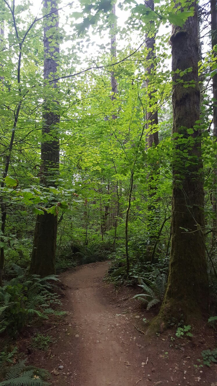 Duthie discount hill park