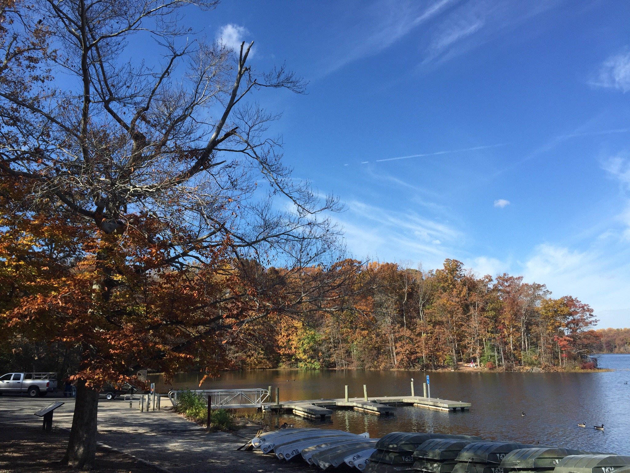 BURKE LAKE PARK Fairfax Station Ce Qu Il Faut Savoir   Burke Lake Park 