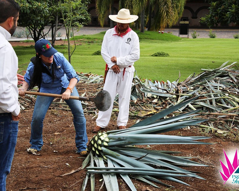 tequila distillery tours near me