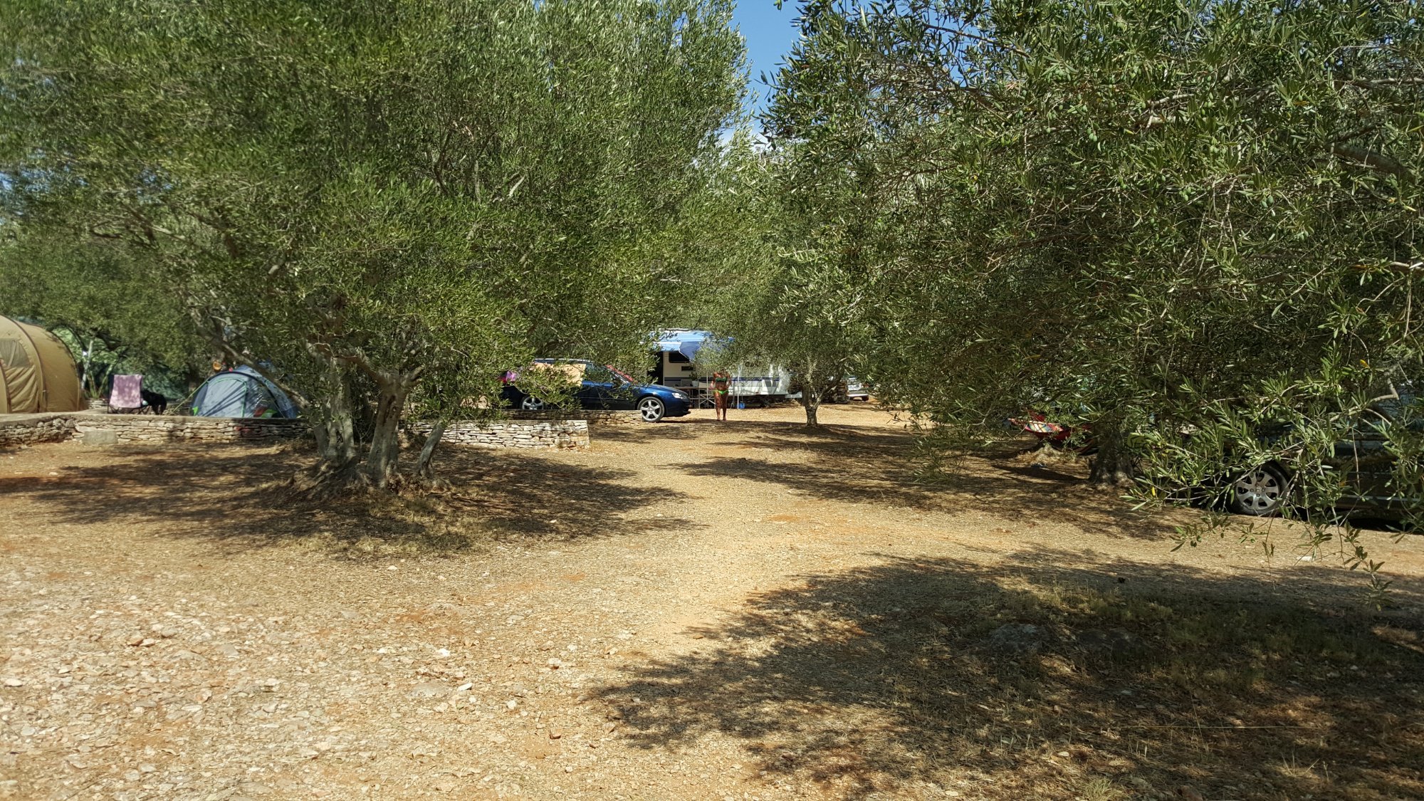 Mindel Camp by null