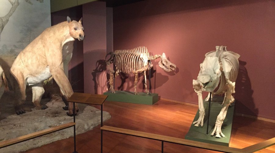 Naturhistorisches Museum