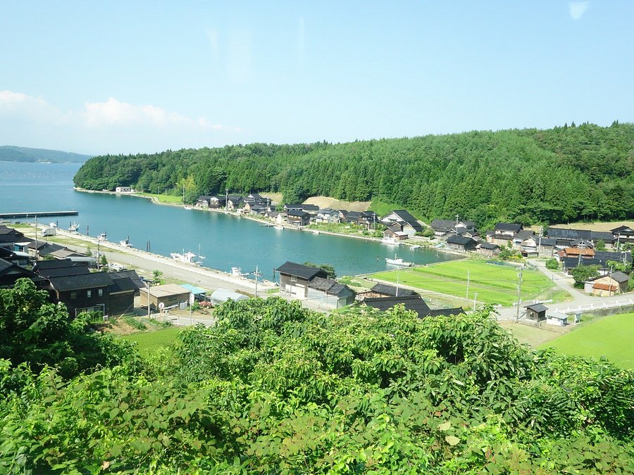 民宿 しまさき 口コミ 宿泊予約 トリップアドバイザー