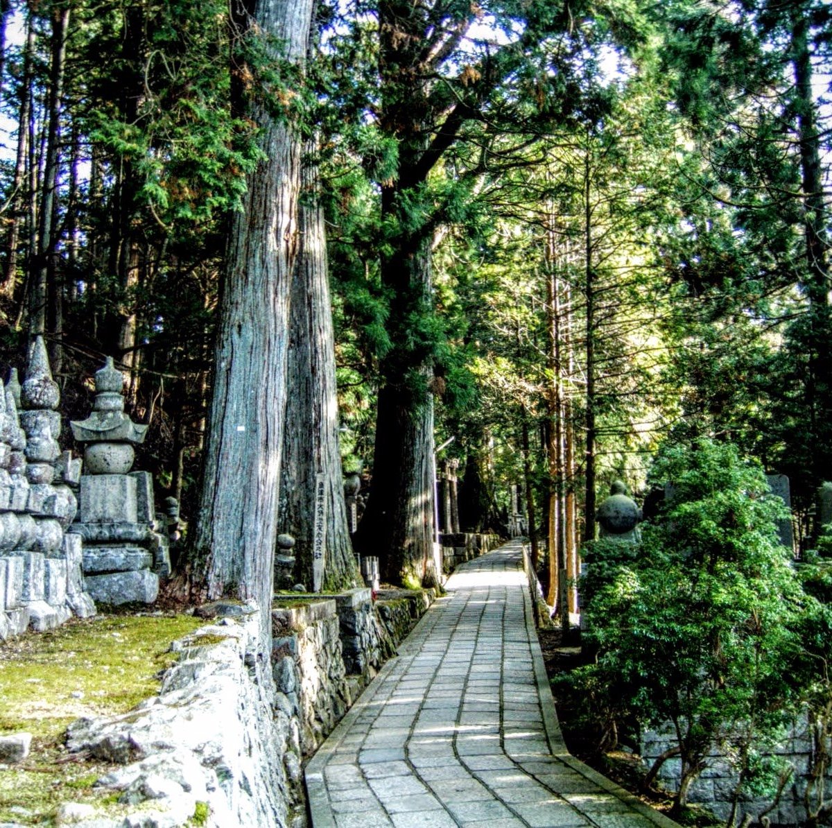 Koyasan Okunoin (Koya-cho) - Tripadvisor