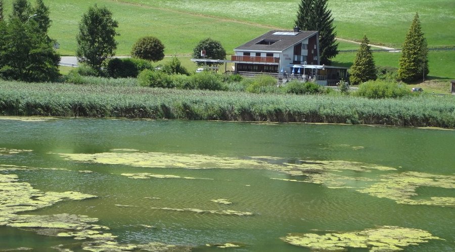 Etang de Lucelle