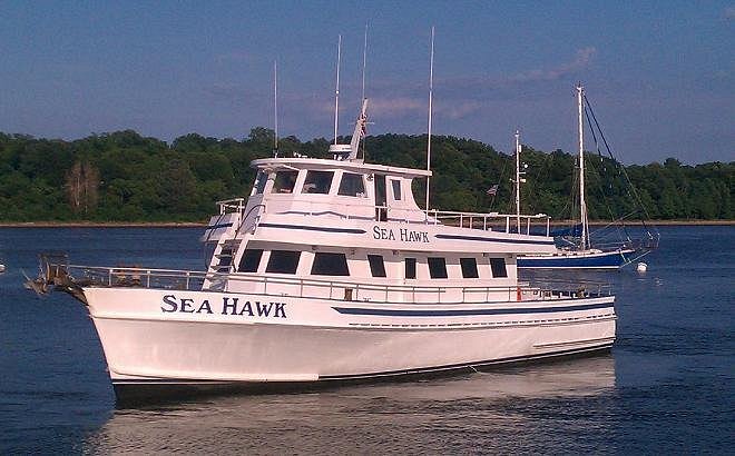 The Sea Hawk Party Boat Fishing image