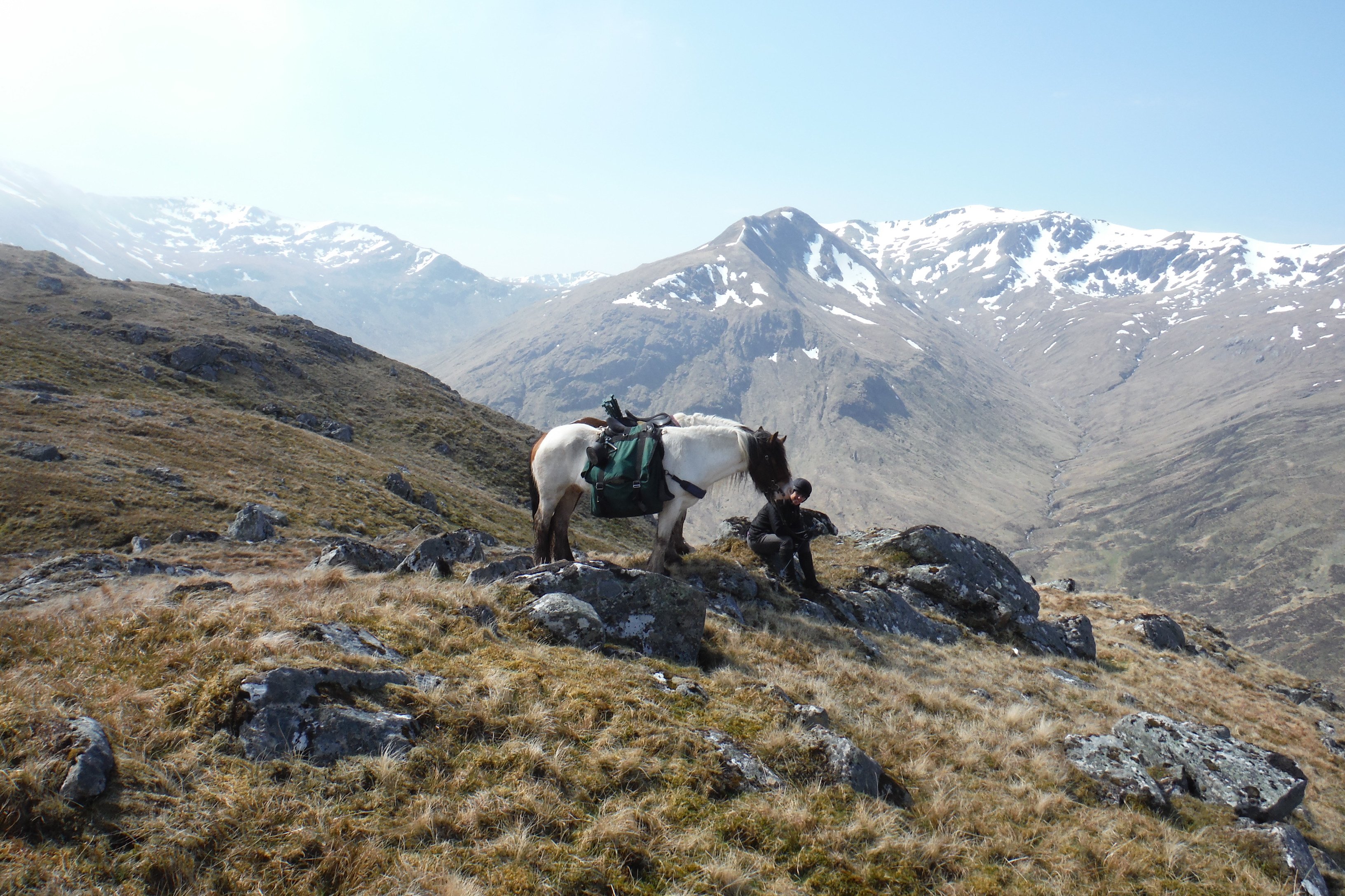 THE 10 BEST Scottish Highlands Horseback Riding Tours (2024)