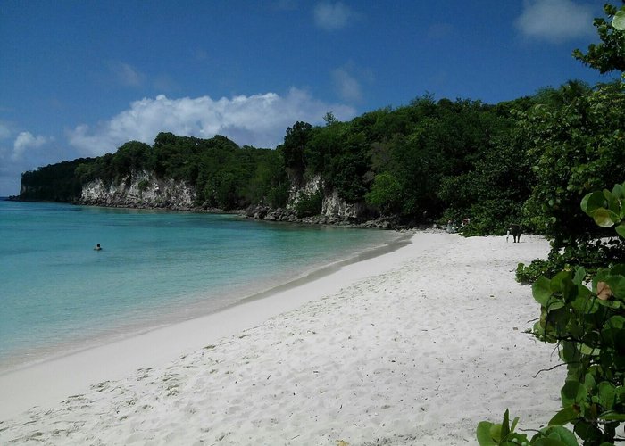 Saint Louis, Guadeloupe 2023: Best Places to Visit - Tripadvisor