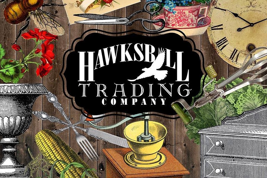 Hawksbill Trading Company image