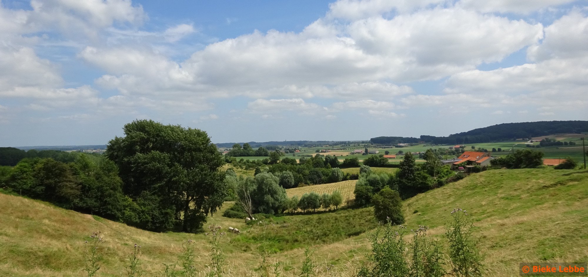 Toerisme In Belgian Westhoek 2022 - Beoordelingen - Tripadvisor