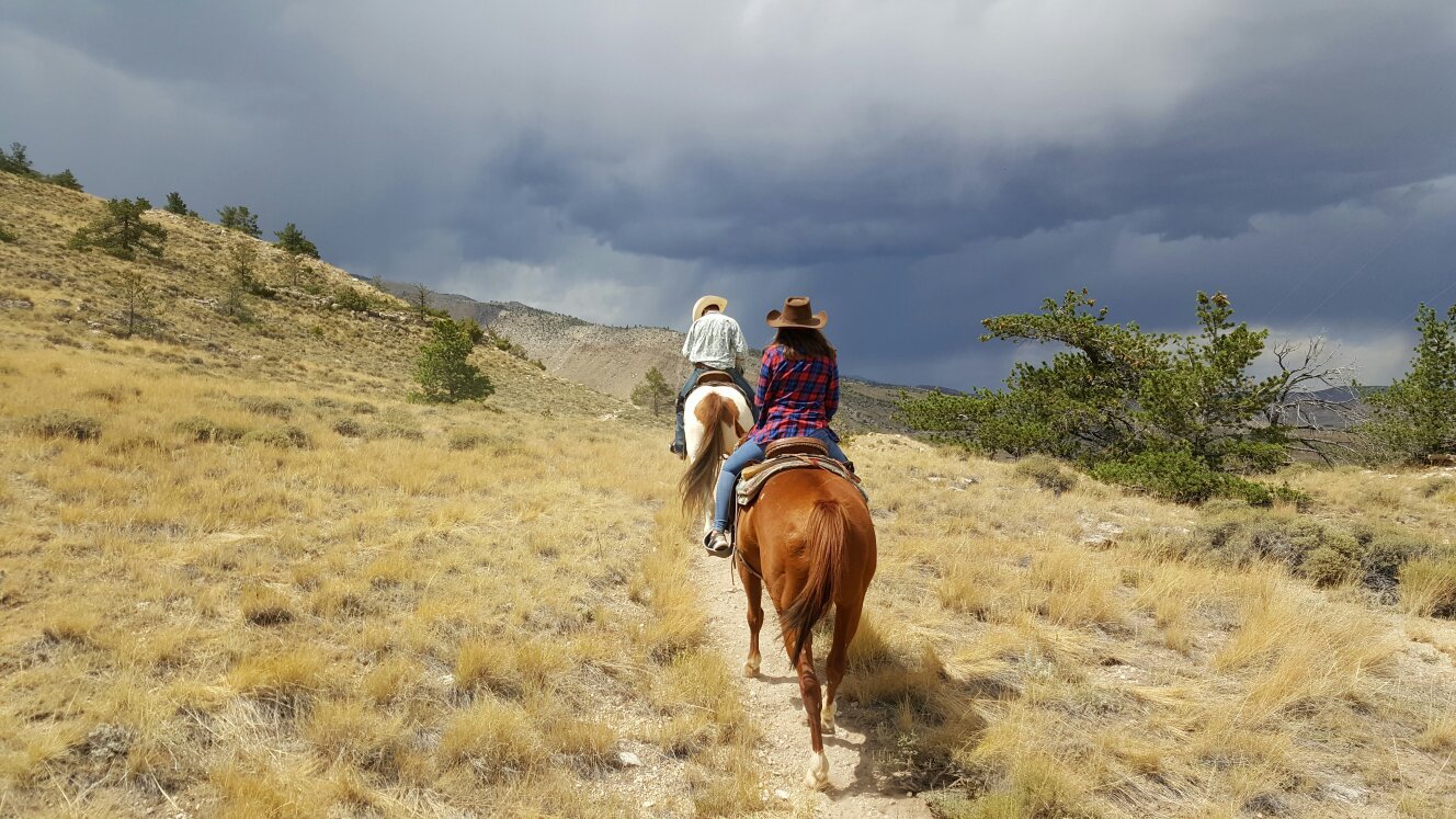 All mountain deals trail riders