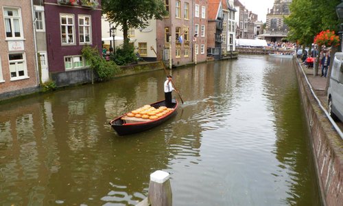 Kaas vervooert met een punter