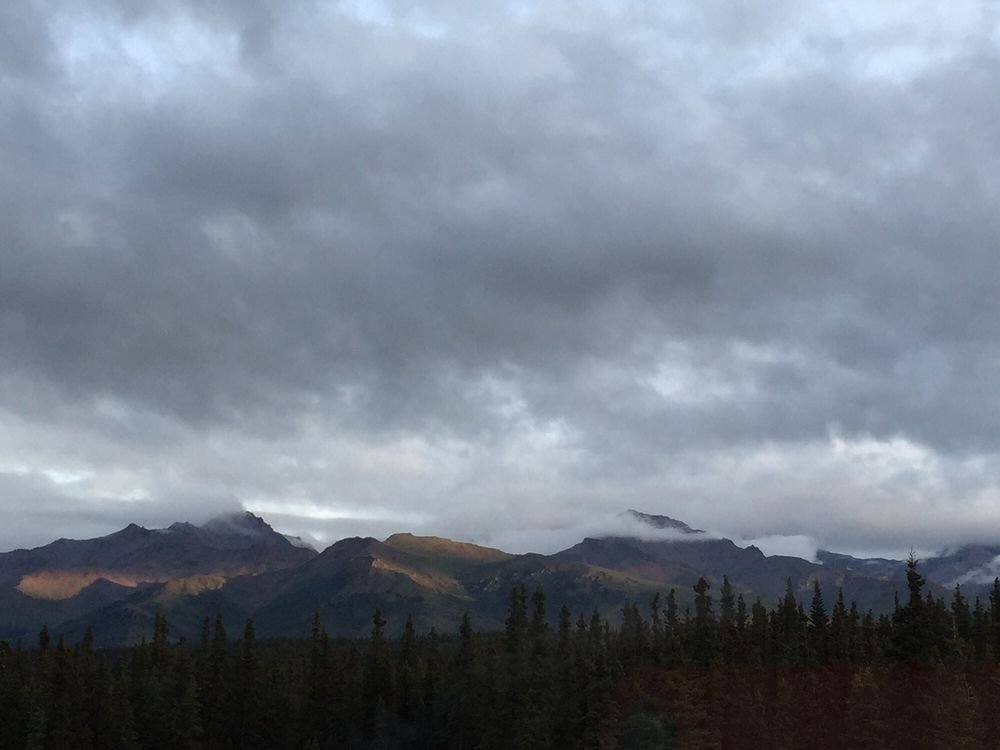 Denali Totem Inn by null