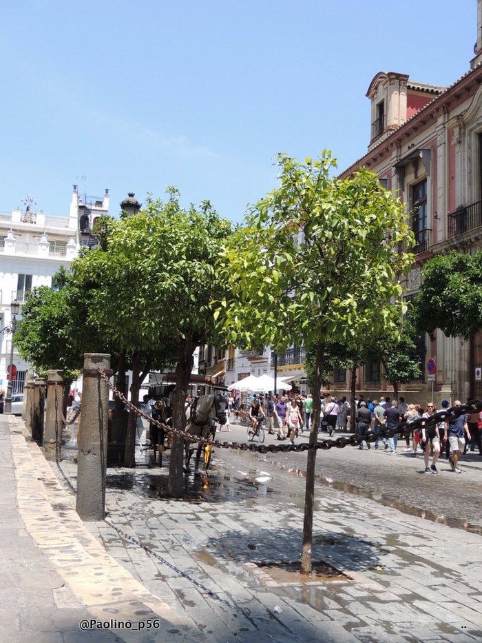 Imagen 3 de Plaza de la Virgen de los Reyes