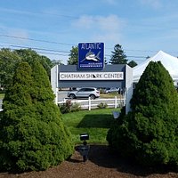 photos of the Chatham Shark Center