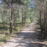 Ścieżka rowerowa przez Półwysep Helski