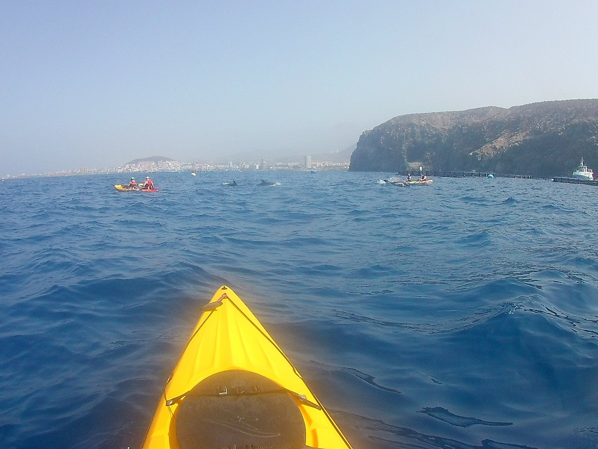 Tenerife snorkelling and kayaking (Adeje) - All You Need to Know BEFORE ...