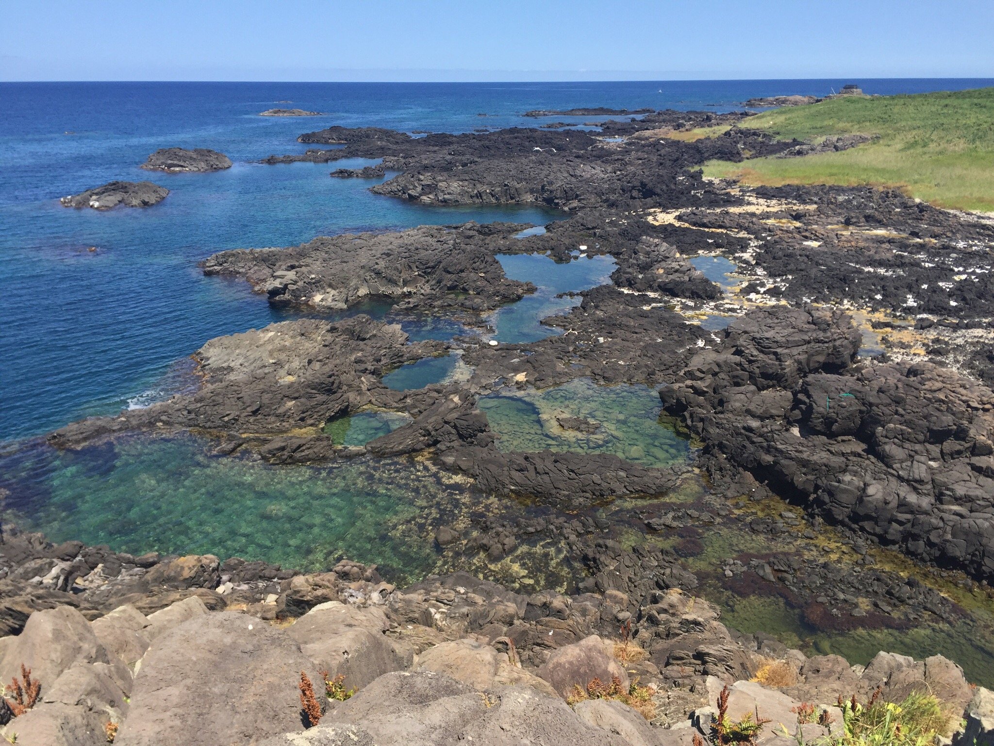 能登・舳倉島の海女☆昭８北陸日本海石川県輪島海士町孤島／南洋ヤップ島チャモロ美人／東京の屋上園芸／飛行機王中島の自伝／古写真 最新