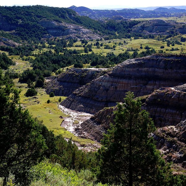 Theodore Roosevelt National Park, ND 2024 All You Need to Know Before