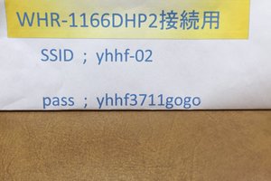 旅行者の写真