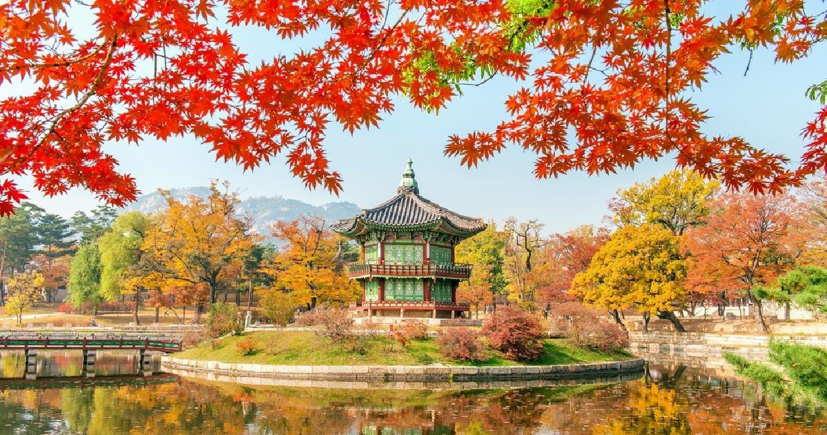 Here Korea Travel (Seoul) - All You Need to Know BEFORE You Go