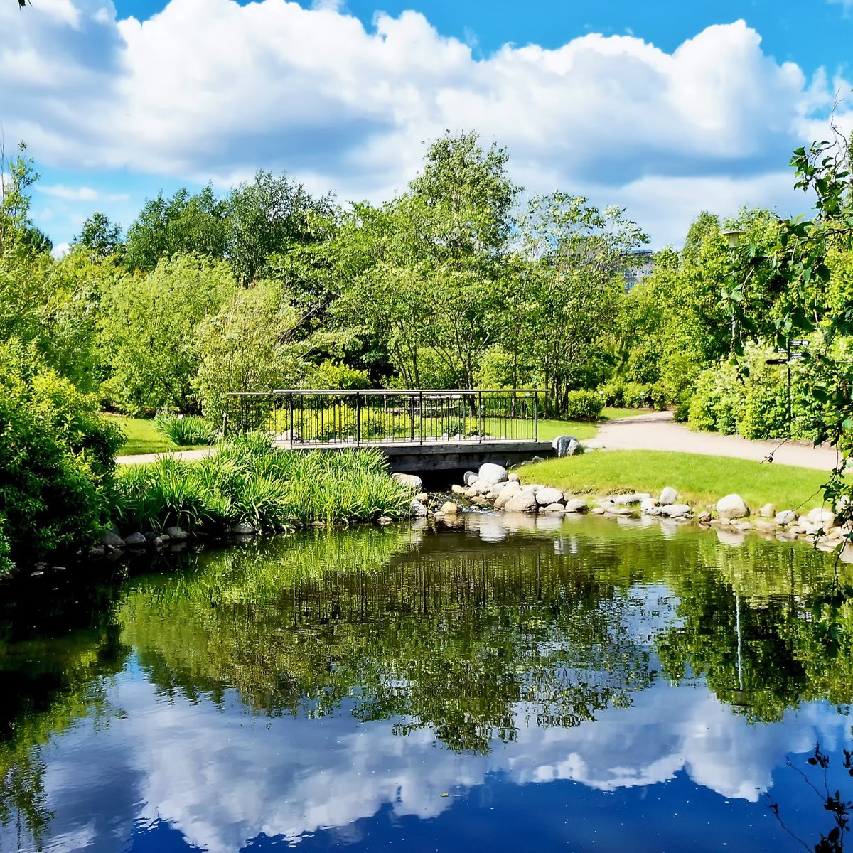 KUMPULA BOTANIC GARDEN (Helsinki) - All You Need to Know BEFORE You Go