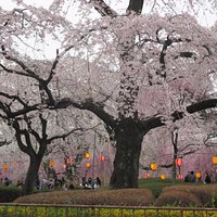 2016年4月西側から
