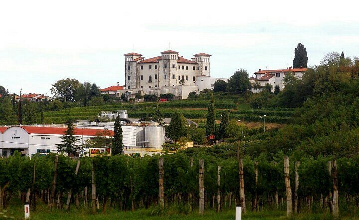The Dobrovo Castle image