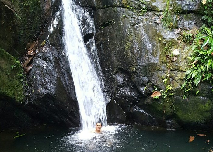 Vida en la naturaleza.