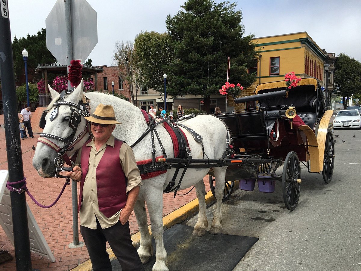 old town carriage co eureka tours