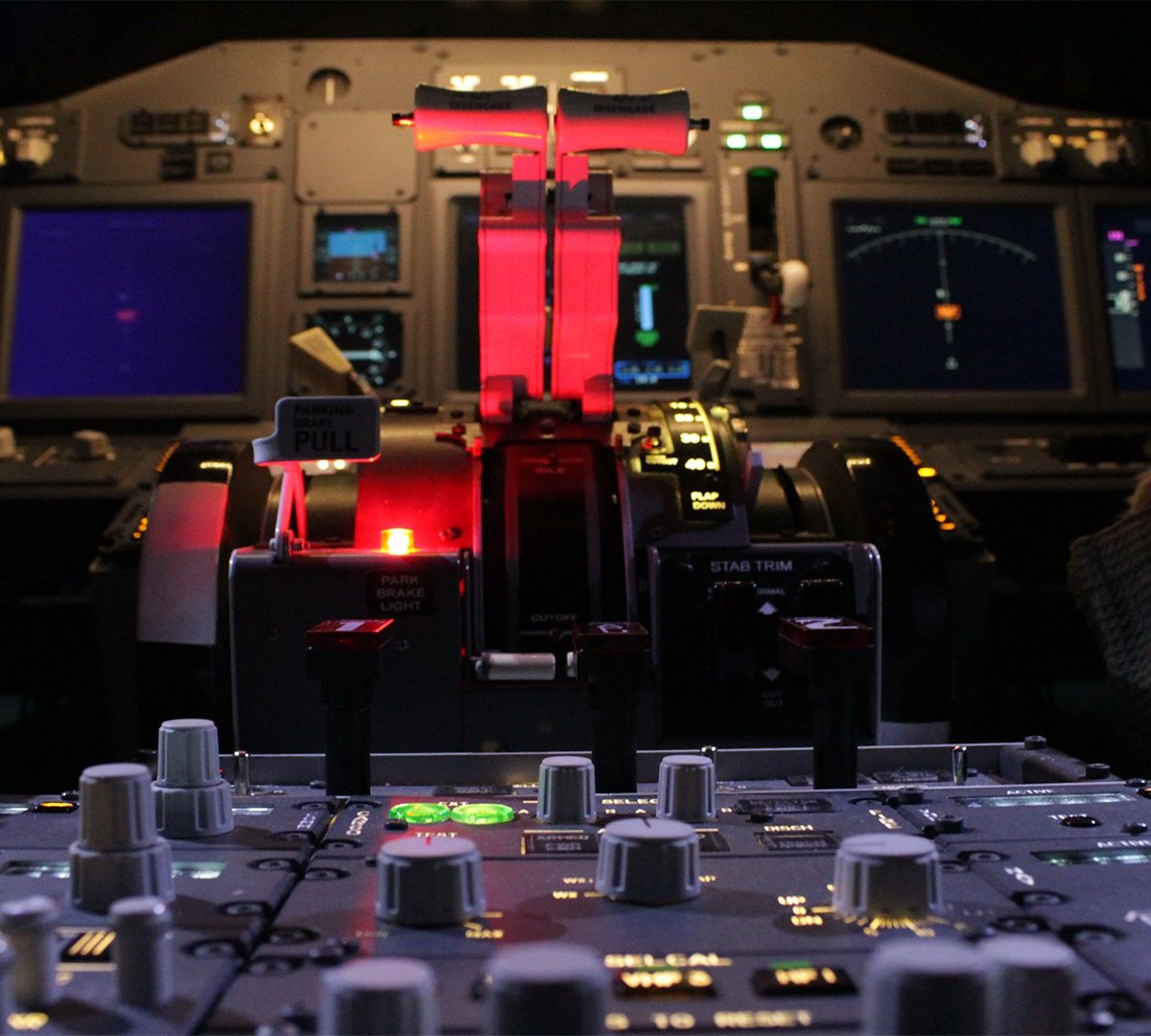 Boeing 737 Flight Simulator in Tampa Bay