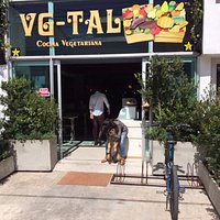 VG-TAL