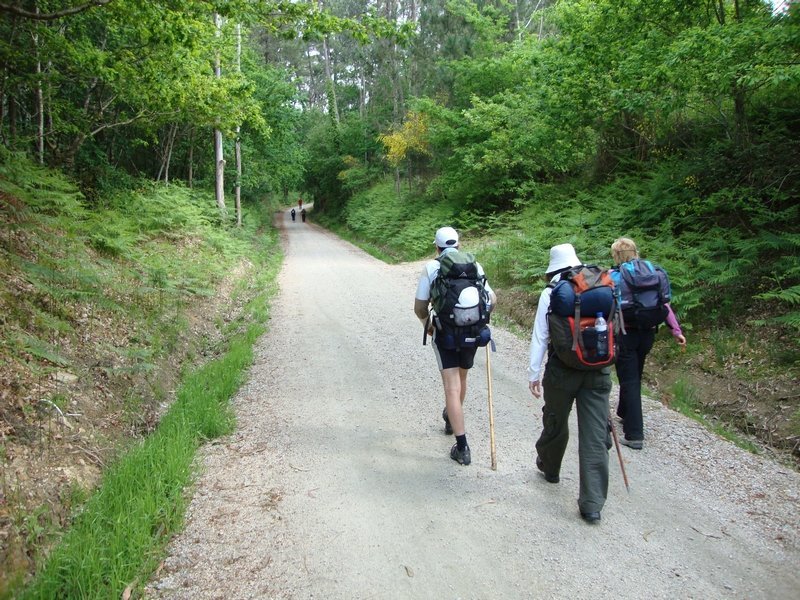 Portugal Green Walks (Porto): All You Need to Know BEFORE You Go