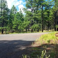 Kaibab Petroglyphs (Williams) - All You Need to Know BEFORE You Go