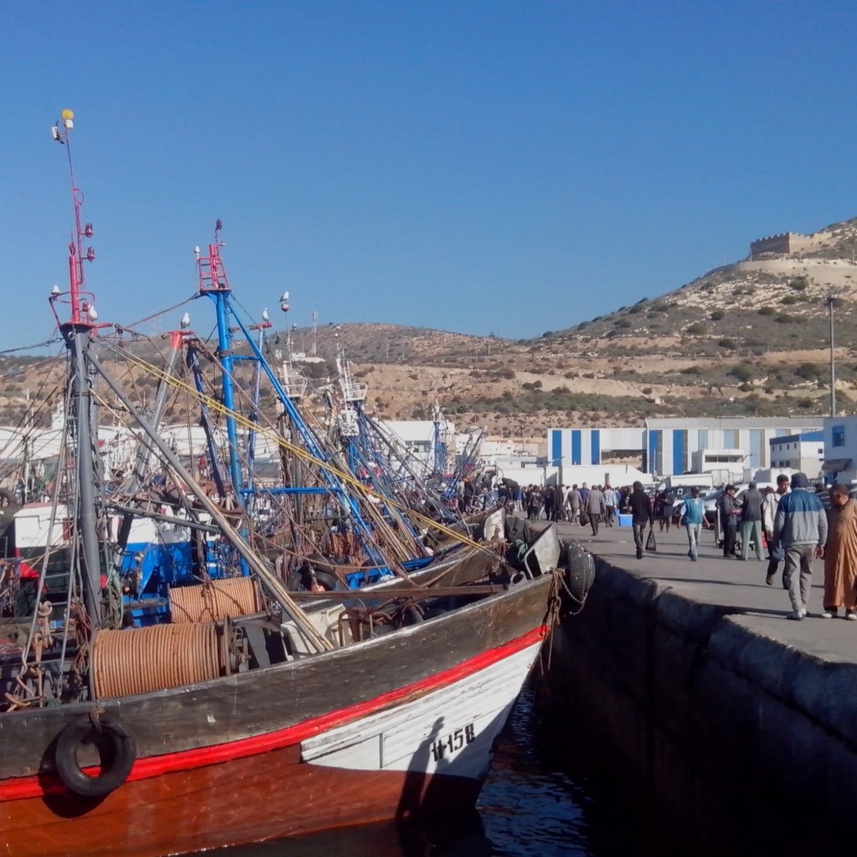 Agadir Fishing Port, Агадир: лучшие советы перед посещением - Tripadvisor