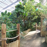 A view of the path