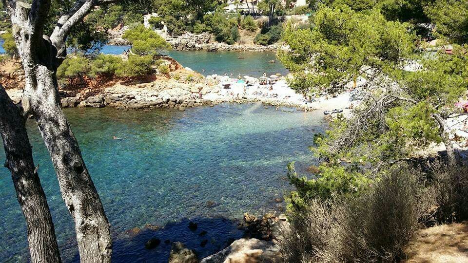 Plage du Capelan (Bandol) - Aktuell für 2022 - Lohnt es sich? (Mit fotos)